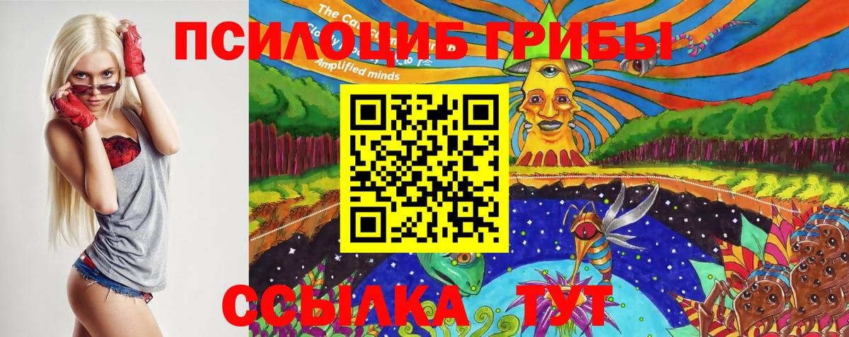 Псилоцибиновые грибы мицелий Сорочинск