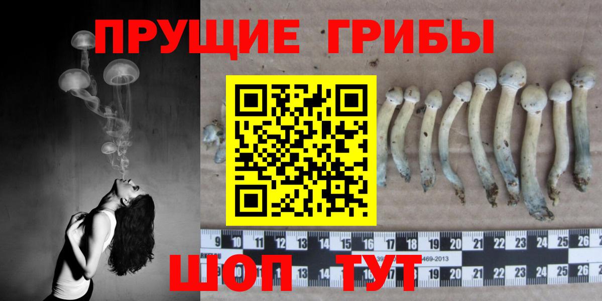 Сорочинск  Галлюциногенные грибы мухоморы  Вход с VPN  Псилоцибиновые грибы MAGIC MUSHROOMS 